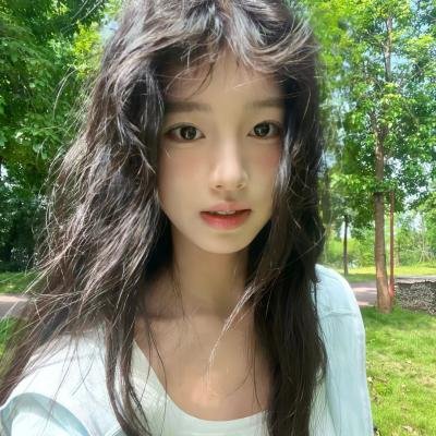 海龟们