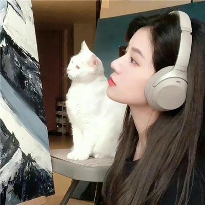 小双侠